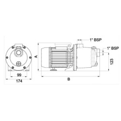 Surpresseur Boost Rite 1 CV Mono