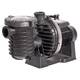 Pompe piscine La Starite HD - 1 Cv Mono - Moteur IE2 - Pentair