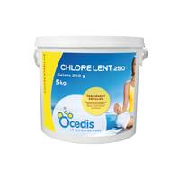 BWT Aqualent 90, chlore lent en galets 200/250g - 5 Kg