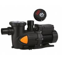 Pompe a Vitesse Variable pour Piscine